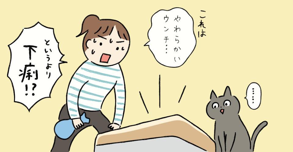 猫のうんちが下痢状態で慌てている女性のイラスト