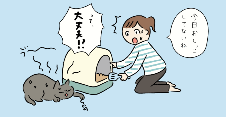 猫がおしっこもせず元気がなく心配している女性のイラスト