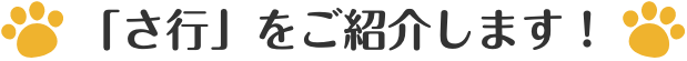 「さ行」をご紹介します！