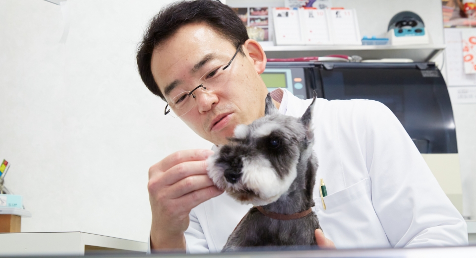 獣医師の鈴木 快朗 先生と一緒に映るシュナウザー