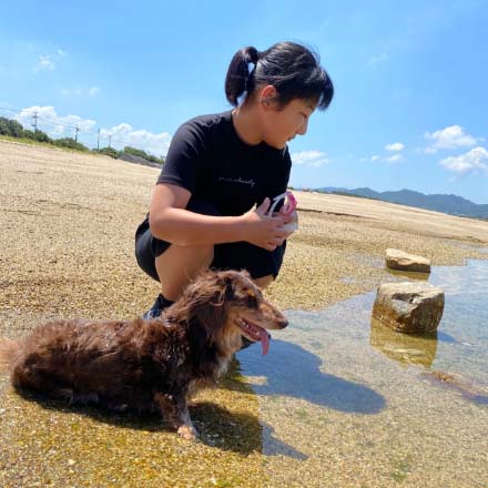 こどもと浜辺にいるミニチュアダックスフンド